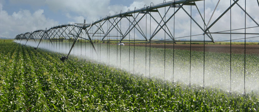 Agricultural Irrigation
