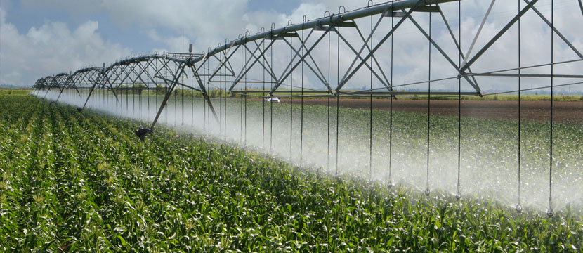 Agricultural Irrigation
